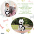 Weewooday Large Dog Tuxedo and Bandana Set, Formal Wedding Party Suit with Bow Tie Shirt for Christmas Halloween