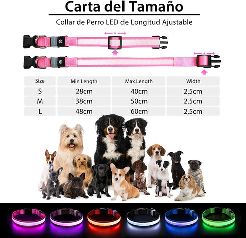 PcEoTllar Light Up Dog Collar for Night Walking, LED Rechargeable Color Changing, Waterproof for Large Medium Small Dogs