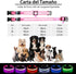 PcEoTllar Light Up Dog Collar for Night Walking, LED Rechargeable Color Changing, Waterproof for Large Medium Small Dogs