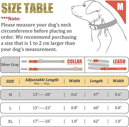 QRDA Dog Collar and Leash Set, Silver Gray Adjustable Durable Nylon Pet Collars with Tactical Leash for Small Medium