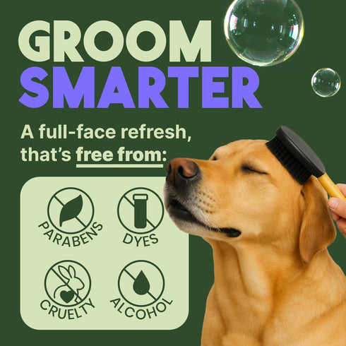 7.4 oz. TropiClean Warm Vanilla Waterless Facial Cleanser for Dogs | Dog Foam Face Wash | Dog Face Wash Derived from