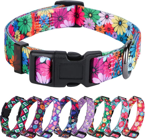 Rhea Rose Dog Collar for Small Dogs, Floral Pattern for Girl and Boy Dogs