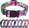 Rhea Rose Dog Collar for Small Dogs, Floral Pattern for Girl and Boy Dogs