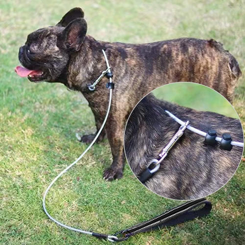 4/6FT Chew Proof Cable Slip Lead Dog Leash with Reflective Soft Nylon Handle for Small Medium Dogs Training (6ft)