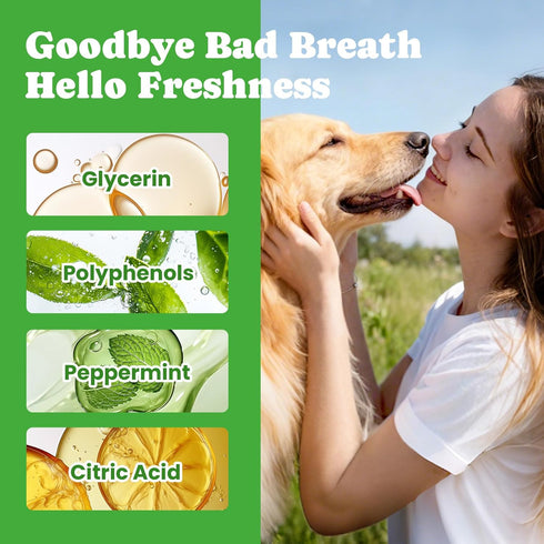 16oz Dog Breath Freshener Enzymatic Dog Dental Water Additive for Teeth Claning Freshens Breath & Reduces Tartar Easy