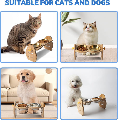 Elevated Cat Bowls, 15° Tilted Raised Bowl Stand with Two Stainless Steel Bowls, Water Feeder Set for Small Dogs