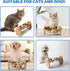 Elevated Cat Bowls, 15° Tilted Raised Bowl Stand with Two Stainless Steel Bowls, Water Feeder Set for Small Dogs
