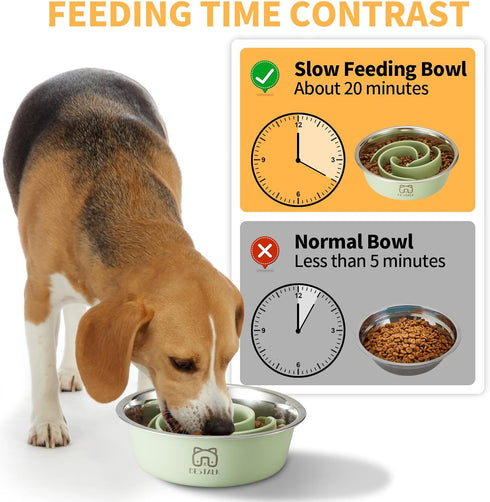 2-in-1 Metal Slow Feeder Dog Bowl, Bestalk Stainless Steel with Silicone Insert, Anti-Slip Base for All Dog Sizes