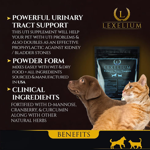 Organic UTI Support for Dogs and Cats - Fortified with Cranberry, D Mannose, Curcumin - Optimizes Kidney & Bladder