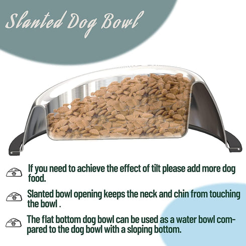 Stainless Steel Slanted Dog Bowl, 2 Pack, Removable Non-Slip Rubber Ring, Stackable Pet Bowls, Medium-2.5Cup