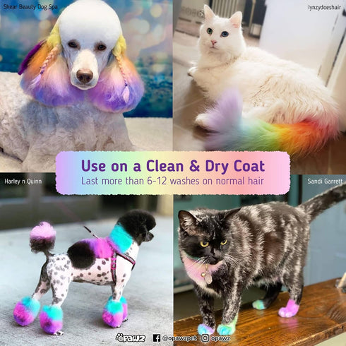 OPAWZ Semi-Permanent Dog Hair Dye, Food-Grade Non-Toxic Pet Hair Dye for Dogs, Cats, and All Pets (Flash Yellow)