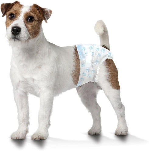 12" 15" 12 Count Four Paws Wee-Wee Super Absorbent Disposable Adjustable Dog Potty Training Diapers, Leak-Proof