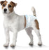 12" 15" 12 Count Four Paws Wee-Wee Super Absorbent Disposable Adjustable Dog Potty Training Diapers, Leak-Proof
