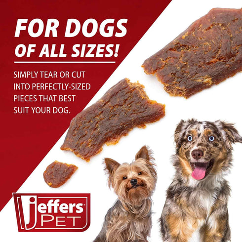 24 oz 1 Pack Jeffers Chicken Jerky Dog Treats Bag | Grain Free High Protein Soft Chewy Pet Snacks | USA Made Natural