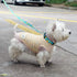 azuza Dog Collar and Leash Set, Lemon Patterns on Blue Nylon Collar and Matching Leash for Large Dogs