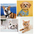 LUTER 4 Pcs Tear Stain Remover Comb - Double-Sided Multifunctional Dog Eye Comb Brush for Grooming