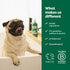 Earth Rated 3-in-1 Coat-Specific Dog & Puppy Shampoo, Conditioner & Deodorizer, 16 oz, White Tea & Basil Scent