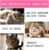 KuuGuu 10 PCS Floppy Fish Cat Toy Filled Soft Plush Pink Fish Mice Flopping Chew Cat Toys Interactive Catnip Toys Wand