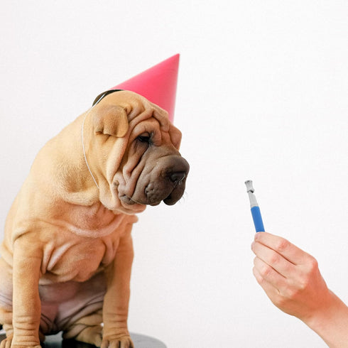 Mipcase Dog Whistle to Stop Barking, Adjustable Whistle for Dog Training