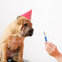 Mipcase Dog Whistle to Stop Barking, Adjustable Whistle for Dog Training