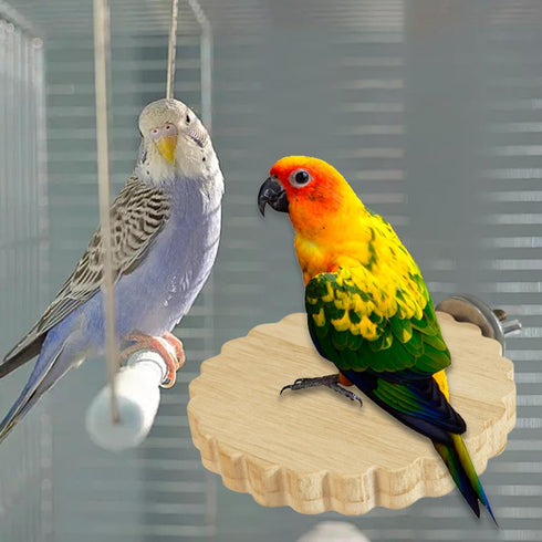 Generic 2X Bird Perch Stand Hang Wooden Parrot Play Toys Corners Shelf Playground Rack Branch Toys for Conures Hamster