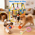 Tynexal 9 Puppy Play Gym with Hanging Toys, Interactive Dog Enrichment Playground, Removable Indoor Training Activity