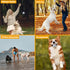 Indestructible Durable Bouncy Floating Balls for Dogs - Dog Balls Toys for Aggressive Chewers