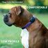 Case-Mate Airtag Dog Collar Holder, Water Resistant Lightweight Protective Airtag Case for Dog Collar - Compatible with