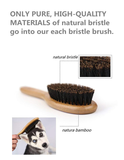 Patina Dog Cat Brush for Shedding, Natural Bamboo Boar Bristles, Pet Grooming Supplies for Dogs Cats