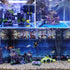 Aquarium Resin Castle Decoration, Stone Cave Hide House for Betta, Shrimp, Turtle Accessories