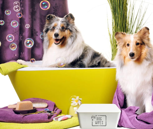Woof Woof Dog Wipes Dispenser, Upgrade Size (8.2L x 4.9W x 3.9H inches), Dog Paw Butt Wipes Container Storage Box