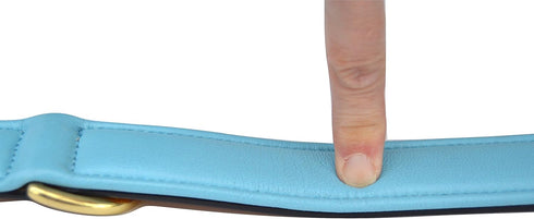 Padded Leather Dog Collar, Tan and Teal, Medium Size, 20" Long x 1" Wide, Neck Size 14.5" to 17.5"
