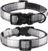 Lionet Paws Dog and Cat Collar with Bowtie, Adjustable Grid Collar with Plastic Buckle for Small Pets