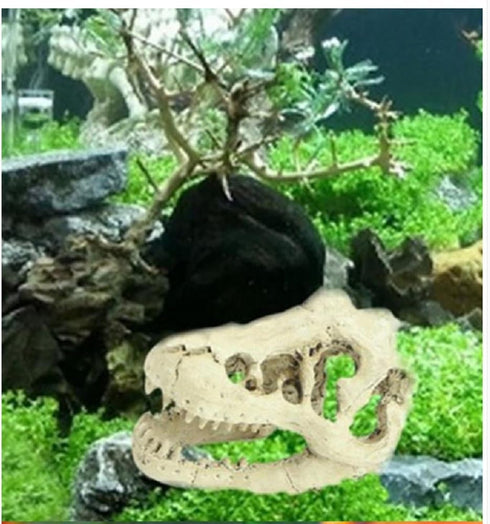 Aquarium Decoration - Skeleton Hole Resin Dinosaur Skull Ornament for Fish Tank & Reptile House