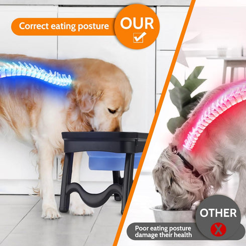 Elevated Silicone Pet Food Bowl Set, Raised Dog Food Bowl with Stand for Dogs and Cats