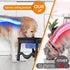 Elevated Silicone Pet Food Bowl Set, Raised Dog Food Bowl with Stand for Dogs and Cats