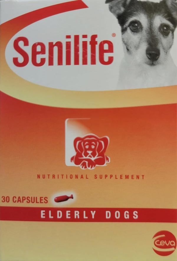 Ceva SEGMINISMART Animal Health D59010B Senilife Nutritional Supplement for Elderly Dogs- 30 capsules/