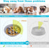 Dog Bowls, Double Dog Water and Food Bowls, Stainless Steel with Non-Slip Resin Station for Puppy and Medium Dogs