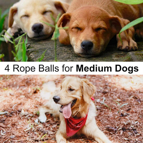Dog Toys for Medium Breed Dogs, 4-Pack Cotton Rope Dog Ball for Aggressive Chewers, Indoor and Outdoor Play