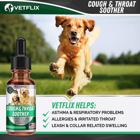 Kennel Cough Treatment for Dogs & Cats, Made in USA, Mullen Leaf & Elderberry Blend, 2 Fl Oz
