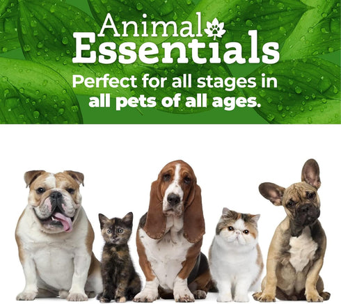 Animal Essentials Breathe EZ for Dogs & Cats - Pet Respiratory Support Supplement for Clear Breathing - 1 Fl Oz