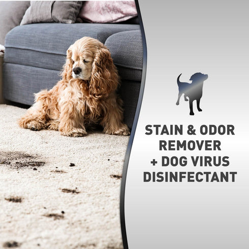 32 Natures Miracle Advanced Platinum Stain and Odor Remover and Virus Disinfectant, Ounces, Disinfects and Cleans