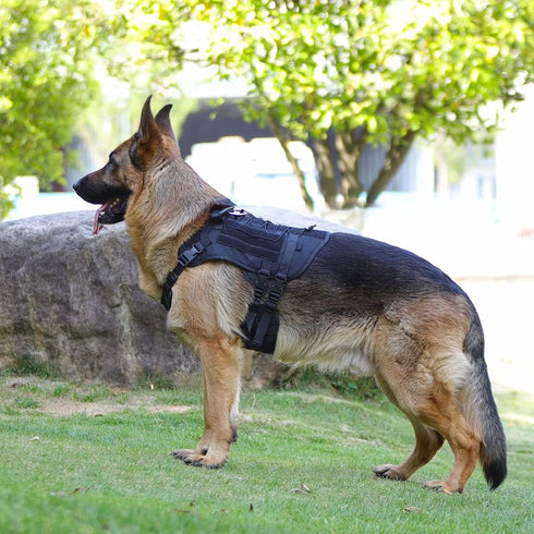 Tactical Dog Harness for Medium Large Dogs, No Pull Military Vest with Handle, Adjustable Pet Harness for Training