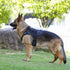 Tactical Dog Harness for Medium Large Dogs, No Pull Military Vest with Handle, Adjustable Pet Harness for Training