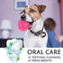 16 Pack Squeaky Dog Balls - 2.5'' Spiky TPR Rubber Balls for Teething, Interactive Fetch Toys for Small and Medium Dogs