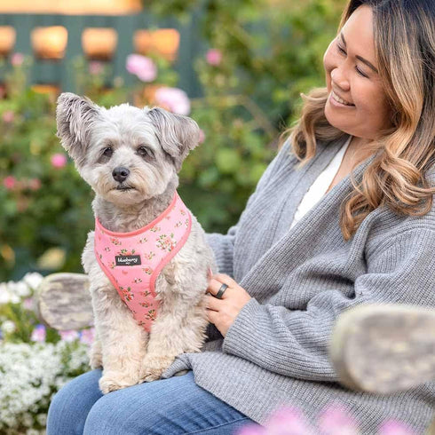 Blueberry Pet Soft & Comfy Floral Rose Dog Harness Vest, Baby Pink, Chest Girth 19.5" - 26", Medium