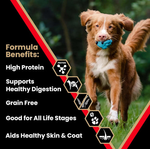 Victor Super Premium Grain Free Dog Food – Active Dog & Puppy, 33% Protein, Gluten Free, 15lbs