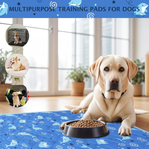 IEUUMLER 2 Pack Pack EU007 24"X18"-2pcs) Washable Pee Pads for Dogs, Non-Slip & Waterproof Whelping Pad, Reusable