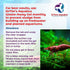 DrTim’s Aquatics Freshwater Waste-Away Gel - Natural Cleaner for Shrimp Aquariums, Treats 10 gal, Small Pack