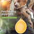 Dog Bowl Travel Collapsible Bowls, 2 Pack, Portable Foldable Water Dish for Cats and Dogs